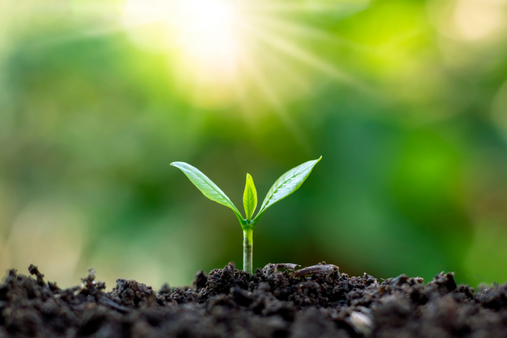 Ecologique - Vhyg charte qualité